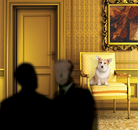 A photo of a corgi sat on a gold chair.